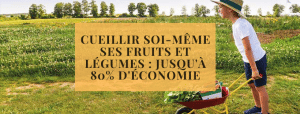 Cueillir soi-même ses fruits et légumes : jusqu&#039;à 80% d&#039;économie