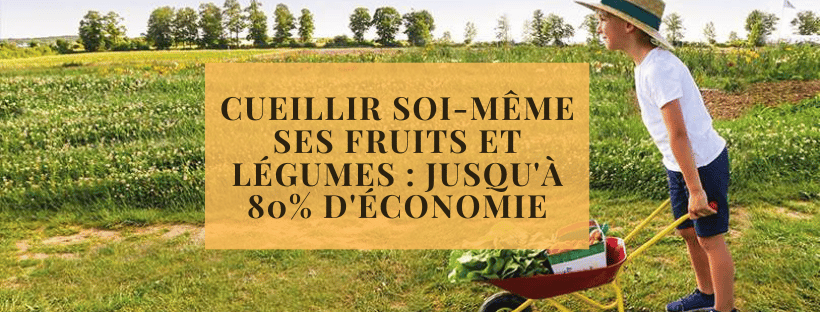Cueillir soi-même ses fruits et légumes : jusqu&#039;à 80% d&#039;économie